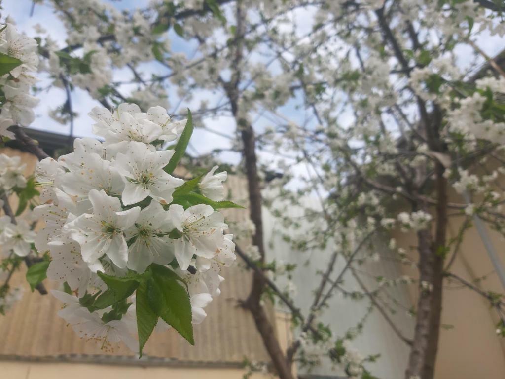 City Hostel Ντουσαμπέ Εξωτερικό φωτογραφία